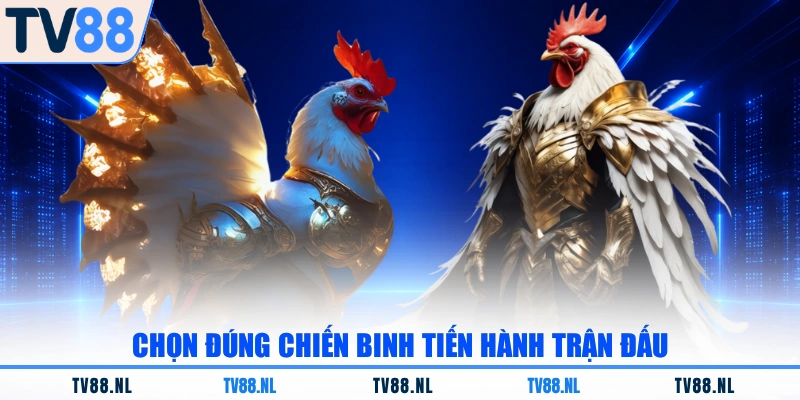 Chọn đúng chiến binh tiến hành trận đấu