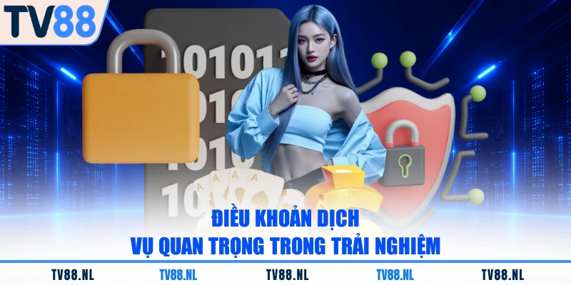Điều khoản dịch vụ quan trọng trong trải nghiệm