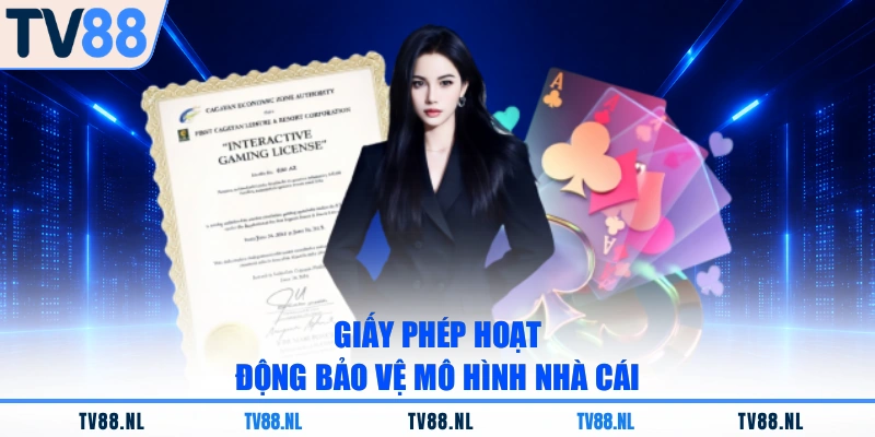 Giấy phép hoạt động bảo vệ mô hình nhà cái